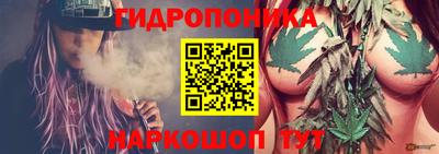 мет Кандалакша