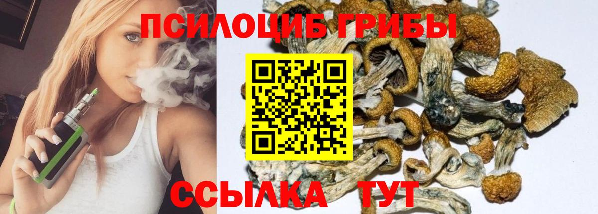 Галлюциногенные грибы ЛСД Георгиевск